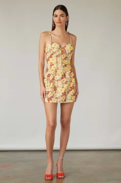 Adriana Dress